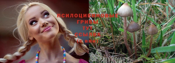 кокс Абаза